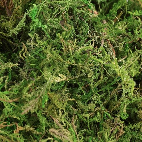 BYHER 16OZ Bulk Artificial Moss for Plants Indoor - Realistic Green Moss for Crafts, Fairy Garden Decor, Potted Plants, Olive Trees Artificial Indoor, Wedding Centerpieces, Fresh Green Faux Grass