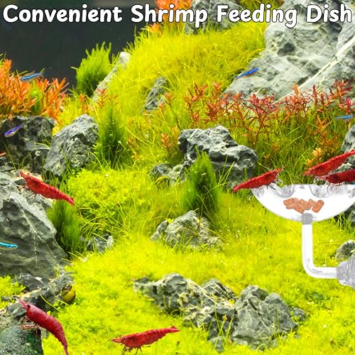 Aquarium Shrimp Hideout with Feeding Tray set, Shrimps Hides with Mini Fish Bowl, Shrimp Tunnel Aquarium Cave and Feeder Dish, Shrimps Shelter and Breeding Supplies, Small Fish Tank Accessories (Cave)