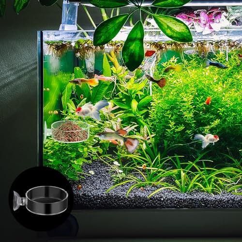 60mm Fish Tank Feeder Dish Aquarium Shrimp Feeder Dish with Suction Clear Fish Tank Feeding Bowl Round Clear Dishes Tray（2pcs）