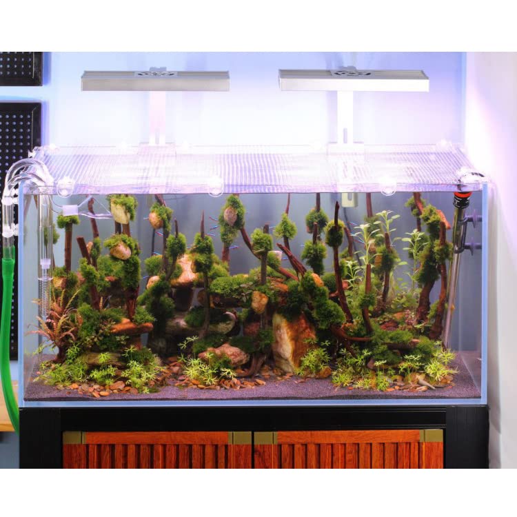 2Pcs Screen Net Holder Fish for Tank Clear Acrylic Mounting Clips Aquarium Cover Clamp Anti-Jump Clip Aquarium Screen Kit Fish Tank Anti Jump