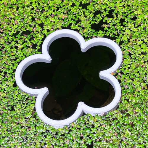 Fish Feeding Portals for Betta & Aquariums | Floating Food Rings & Breathing Windows (Multiple Shapes & Colors) (Daisy - White) - color: Daisy - White