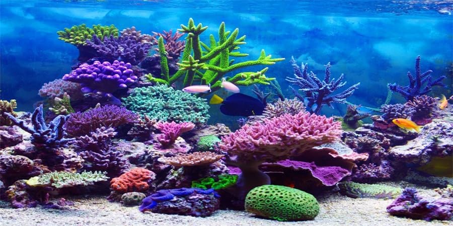 YongFoto Ocean Theme Fish Tank Background 36x20 inch Coral Seaweed Reef Rock Tropical Fish Underwater Sea World Polyester Backdrop Reptile Habitat Terrarium Aquarium Background - color: Underwater 2, size: 36x20inches