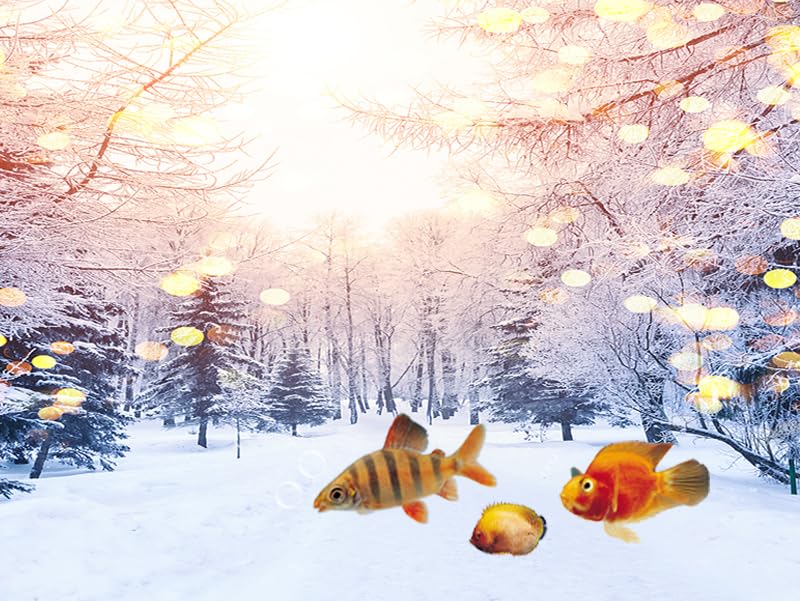 72x24IN Winter Snow Scene Aquarium Decoration - White Snow Covered Trees Pathway in Sunshine Winter Season Scenic Fish Tank Decor, Christmas Art Terrarium Background - size: 72X24in/180X60cm