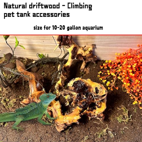 Hamiledyi Aquarium Driftwood 3PCS Natural Trunk Driftwood Assorted Branches 8-12" Reptile Wood Decor Terrarium Ornament Fish Tank Decoration - size: XL:Mopani Driftwood (8-12in 3PCS)