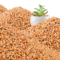 45lb Cactus Pea Gravel Rocks,1/5 Inch Pebbles for Indoor Plants, Natural Succulent Rock and River Rocks Decorative for Aquariums, Vases, Terrarium, Outdoor Gardening, Top Dressing for Potted Plants