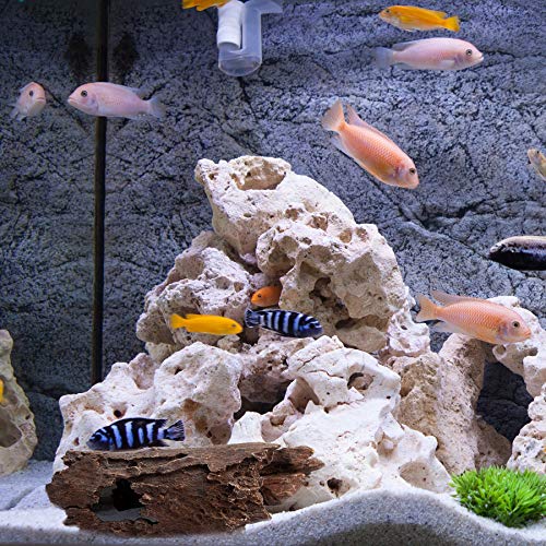 Orchid Valley Reptile Hide, Fish Tank Accessories. Medium 10" Hollow Log for Aquarium, Lizard Hide Tank Decoration, Natural Looking Habitat or Betta Fish Tank Decoration for Hiding - size: Medium