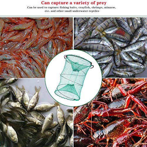 Drasry Foldable Fishing Trap for Bait Shrimp Crawfish Minnow Net Portable Accessories 11.8 x 11.8 x 15.7 (30cm x 40cm) 1/4 in Mesh Collapsible Fish Trap - color: 2Pcs