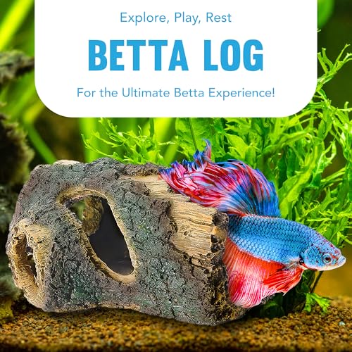 JOR Betta Log Hideout Décor for Aquariums – Unique Fish Tank Shelter Adds Depth and Visual Appeal, Reduces Aggression Among Fish, Enhances Aquatic Habitat and Enrichment for Community Tanks