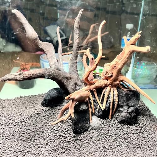 Tfwadmx 10 Pack Aquarium Black Lava Rock Fish Tank Volcanic Pumice Stones for Fish Shrimp Betta(1.18''-1.96'') - color: Black, size: M:1''-2''
