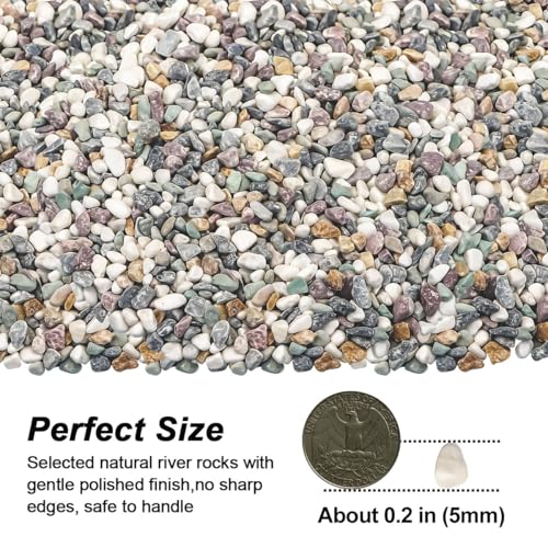 River Rocks,Landscaping Pebbles,Decorative Ornamental Pebbles,Garden Landscaping Stones,Gravel Filler for Home Decoration Flower Bed Fish Tank Plants Vases Succulents (Natural, 10 Pounds) - color: Natural, size: 10 Pounds