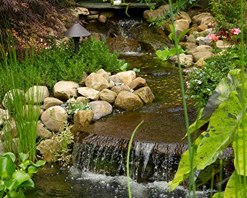 Atlantic Water Gardens BF1600 Pond Filter & Waterfall Spillway, 16-inch, Black - size: 16-inch