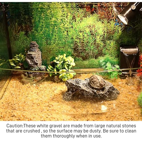 45lb Cactus Pea Gravel Rocks,1/5 Inch Pebbles for Indoor Plants, Natural Succulent Rock and River Rocks Decorative for Aquariums, Vases, Terrarium, Outdoor Gardening, Top Dressing for Potted Plants - color: Mixed Colorful, size: 45LB