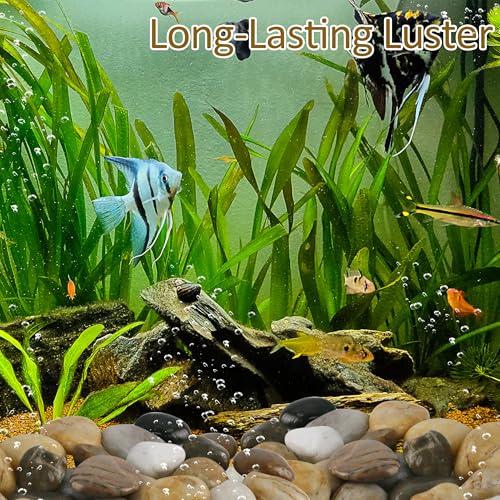 Sunnyglade 5 LBS River Rocks, 2-3 Inch Natural Pebbles for Indoor Plants, High Polished Decorative Stones Vase Filler Fish Tank Aquariums Landscaping Garden Outdoor and Indoor DIY (5, Pounds) - size: 5 Pounds