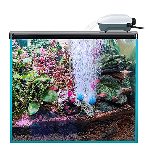 Dual Outlet Aquarium Electric Air Pump, Whisper Adjustable Fish Tank Aerator, Quiet Oxygen Pump with Accessories for 20 to 100 Gallon