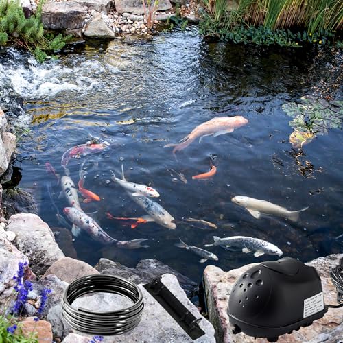Luckerain Pond Aerator 8000 Gallons Koi Pond Air Pump, Aerators for Outdoor Ponds,Air Pump with Weighted Air Line and Submersible Diffuser Stick - size: 1 Diffuser / Up to 8000 Gallon