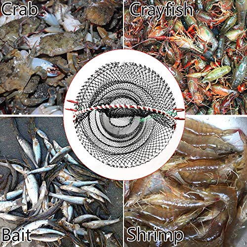 Drasry Crab Trap Bait Lobster Crawfish Shrimp Portable Folded Cast Net Magic Collapsible Fishing Traps Nets Accessories for Blue Crabs - color: Black, style: 2pcs 37.4 * 19.6in (0.66 Mesh)