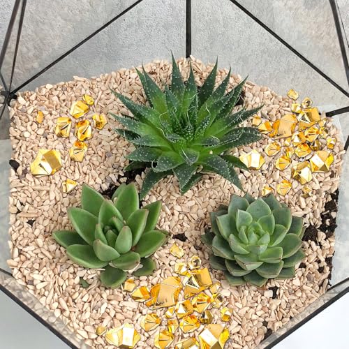Syhood 570 Pcs 5 Sizes Gold Fake Gems Plastic Gold Rocks Jewels Acrylic Gems Crystals Fake Ice Crushed Rocks Vase Fillers Table Scatters Birthday Decoration Wedding Display - color: Gold