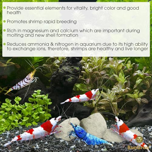 SunGrow Shrimp Rocks, Calcium, Magnesium Rocks for Crayfish, Hermit Crab, Snails, Crustacean Care, Aquarium Decor for Crystal Red, Amano and Ghost Shrimps, Nano Tank Accessories, Fish Tank Supplies
