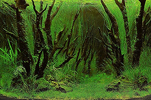 ELEBOX Fish Tank Stickers Wallpaper Seaweed Background Aquarium Background Decoration Water Plants Fish Tank Background 15.7"x 40" - color: Type E