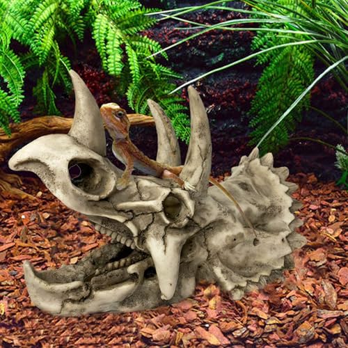 kathson Large Resin Dinosaur Triceratops Skull Décor Aquarium Decoration Reptiles Hideout Fish Tank Ornament Home Landscape Decor - style: Triceratops Skull