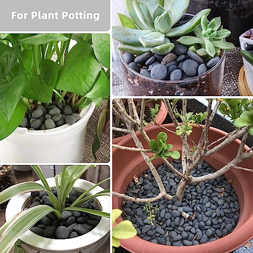 18lb Small Smooth River Rocks Pebbles for Plants & Succulents, Decorative Outdoor Landscaping Garden Rocks, Natural Mexican Beach Pebbles, Gravel for Aquarium, Fish Tanks, Vase and Yard Decor - size: 18LB, style: Small