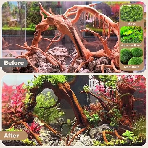 WDEFUN Natural Spiderwood for Aquarium Decor 7-Piece 4''-8'' Long Natural Driftwood Branches for Fish Tank Decorations - size: Spiderwood （4-8 inch pack of 7）