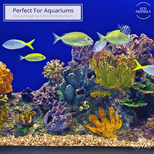 River Rocks Decorative Ornamental Vase Filler 0.25" Natural Aquarium Gravel - 5 lbs Landscaping Pebbles for Indoor Plants, Fish Tank Gravel, Terrarium & Home Decor, DIY & Crafting – Royal Imports - size: Mini - 5 lbs, style: Natural