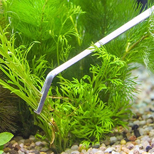 FEITA Extra Long 15 Inch Tweezer Stainless Steel Curved Tip for Aquarium Fishtank Aquascaping Tools, Aquarium Fishtank, Mega Reptile Feeding Tongs - style: 15Inch Curved-Tip