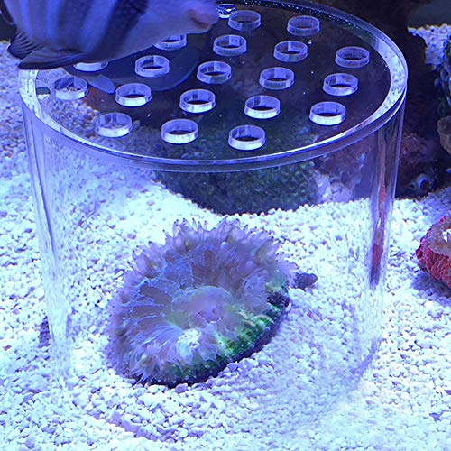 Transparent Coral Feeding Breeding Protection Cover, Acrylic Transparent Coral Feeder Cover Anti-Feeding Shrimp for Aquarium Fish Tank (150mm)