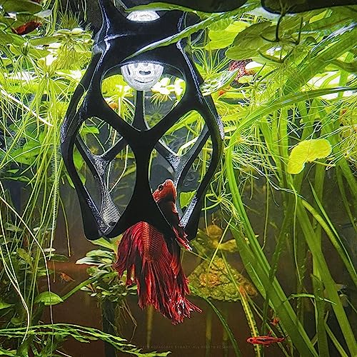 Betta Play Ground | Floating Hammock and Hiding Cave for Betta, Fish, Shrimp with Feeding Station – Swim-Through Aquarium Ornament and Tank Decoration (Baby Blue, Regular)