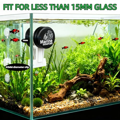 Magnetic Seaweed Feeding Clip for Saltwater Aquarium, Automatic Fish Feeder with Algae Magnet Clip, Glass Tank Accessory for Aquatic Pets, Up to 15mm Glass Thickness - color: Black-2Pcs