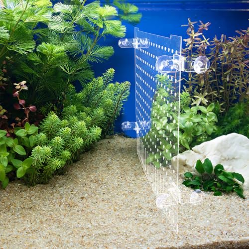 Homoyoyo Aquarium Divider Kit Acrylic Fish Tank Separator 35x30cm with Suction Cups Partition Board for Fish Isolation and Reptile Tank Separation