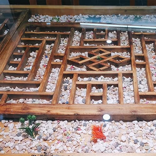 YISZM 10LB Succulent and Cactus Gravel Pebbles, 1/5 Inch Natural Decorative Polished Stones, River Rocks for Plants, Vases, Aquariums, Terrarium and Outdoor Gardening,Mixed Color - color: Mixed, size: 10 Pounds