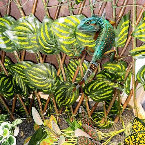 Reptile Hermit Crab Climbing Wall Toys, Bearded Dragon Climb Accessories, 15.75 in Watermelon Leaves Retractable Hedge Fence Background, Gecko Spider Aquarium Tank Decoration with Suction Cups - color: Watermelon Leaves Reptile Climbing Wall