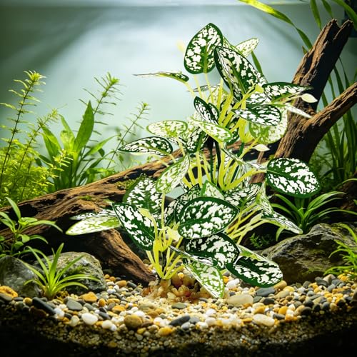 Silk Aquarium Plants (2-Pack), 9.8-inch Artificial Aquarium Silk Plants— Simulated Fish Habitat Decor, Safe Silk Plants for Aquariums Fish Fishbowl (White) - color: White&green