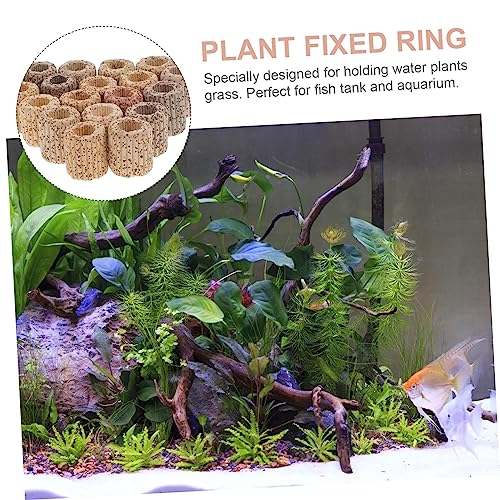 POPETPOP 20pcs Water Plant Fixed Rings for Fish Tank Pottery Anchors for Aquatic Plants Random for Aquarium Landscape Decoration