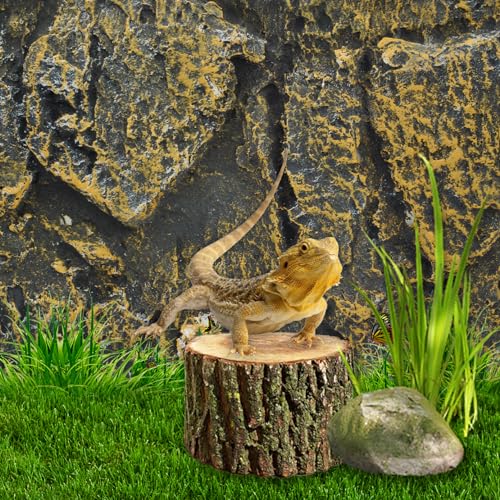 PINVNBY Rock Terrarium Background,3D Bearded Dragon Tank Backgrounds Wall Reptile Stereo Backdrop Amphibian Habitat Climbing Board Decoration Aquarium Background Decor for Reptiles Lizard Fish Frog - color: 【ROCK】
