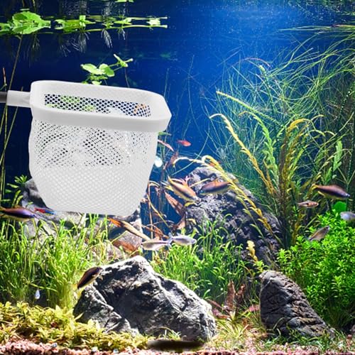 Totority Fish Tank Breeder Net with Suction Cups Durable Isolation Box for Shrimp and Betta Fish Easy Installation and Cleaning Spawning and Protection of Newborns