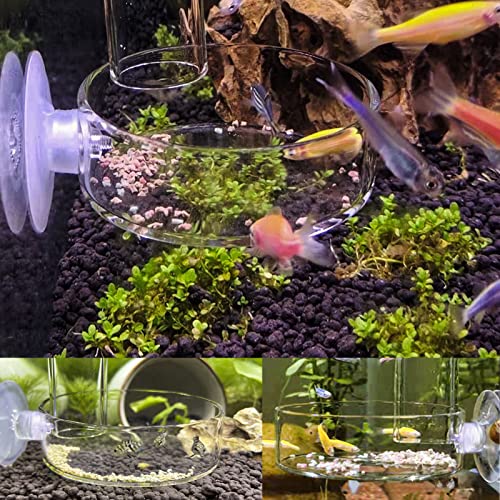Aquarium Shrimp Feeder Dish Glass Fish Tank Feeding Bowls, 1pcs Round Glass Food Bowl (60mm), 2pcs Square Fish Feeding Bowls with Suction Cups (60mm) - size: 3x Bowl Combine 3