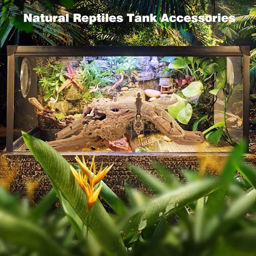 WDEFUN Natural Spiderwood for Aquarium Decor 3-Piece 7''-11'' Long Natural Driftwood Branches for Fish Tank Decorations - size: Spiderwood （7-11 inch pack of 3）
