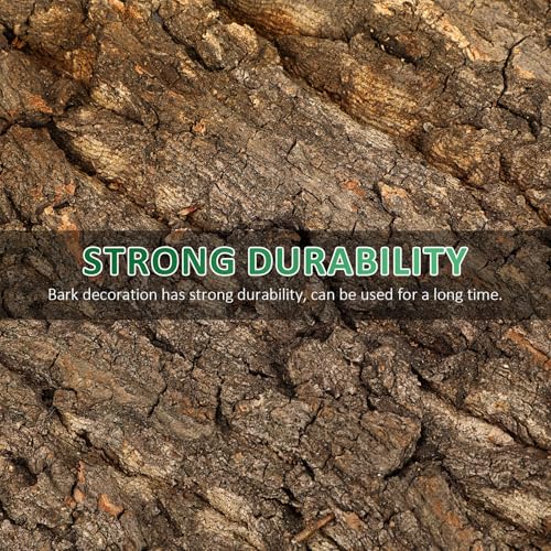 TOYANDONA 2pcs Natural Cork Bark Terrarium Background - 11. 8x7. 9in Reptile Climbing Mat Hideout, Habitat Decor for Bearded Dragon Lizard Gecko Spider Turtle Tank Supplies
