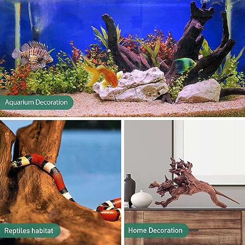 Natural Driftwood for Aquarium Decor, 10-Piece 2''-5'' Small Driftwood for Decorations on Fish Tank, Reptiles Bearded Dragon Accessories or Air Plants