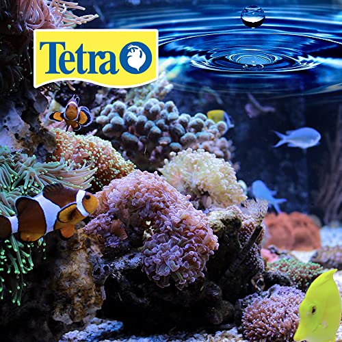 Tetra BettaSafe, Aquarium Water Conditioner For Bettas, 1.69-Ounce, 50ml, Golds & Yellows (16837) - size: 1.69-Ounce, 50-Ml