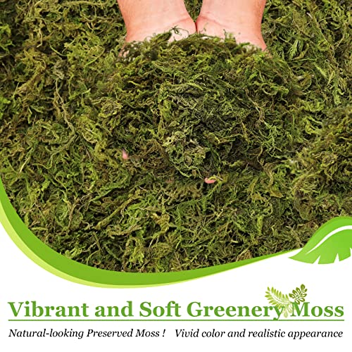 Riare 1.3LBS Artificial Fake Moss for Fake Plants Indoor- Premium Faux Craft Moss for Potted Plant, Fresh Green Moss Forest Moss for Hamsters Micro-Landscape Terrariums Centerpieces Decor - color: 1.3lb