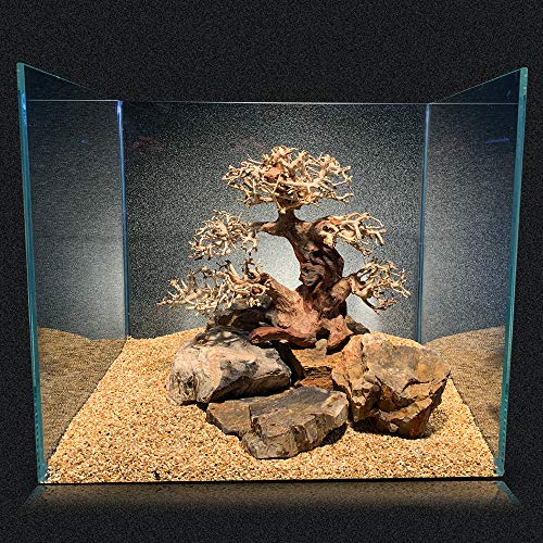 Amtra - Oriental Wind 4 Wood, Handmade, for Aquarium, 30X13X23 CM - color: 4 Medium, size: 21 g