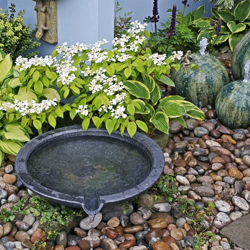 River Rocks 20lbs, 1-2Inch Mixed Color Natural Pebbles for Plants, High Polished Decorative Stones for Aquarium Vase Filler Fish Tank Landscaping Garden - color: Mixed Color, size: 20 Pounds