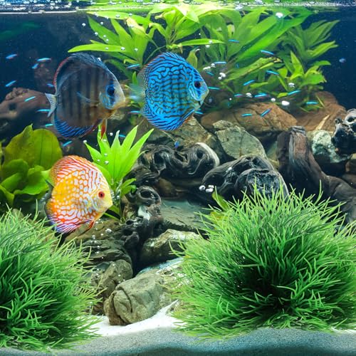 2 Pcs Aquarium Plants Decorations Fish Tank Decorations Artificial Fish Tank Plants Plastic Fishes Tanks Accessories Small Large Aquarium Decoration Plastic Artificial Plant(Light Green) - color: Light Green