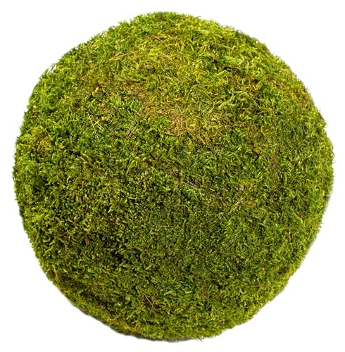 SuperMoss (21666 Moss Balls – Preserved Decorative Moss Balls for Home Décor, Vase Fillers, Centerpieces, Terrarium & Wedding Décor, Natural Green Moss Décor Balls, 10", Fresh Green - color: Fresh Green, size: 10"