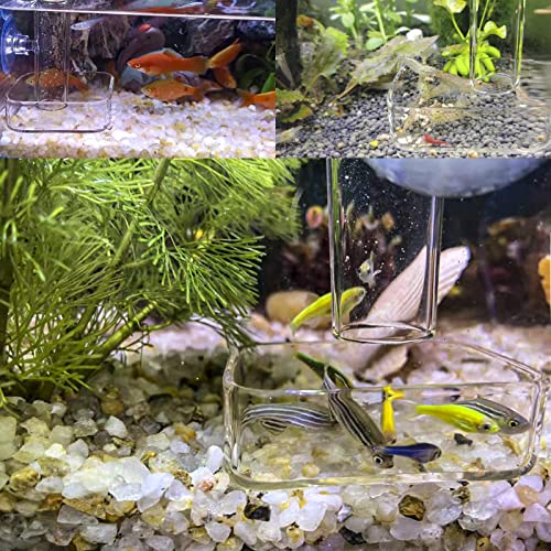 Aquarium Shrimp Feeder Dish Glass Fish Tank Feeding Bowls, 1pcs Round Glass Food Bowl (60mm), 2pcs Square Fish Feeding Bowls with Suction Cups (60mm) - size: 3x Bowl Combine 3