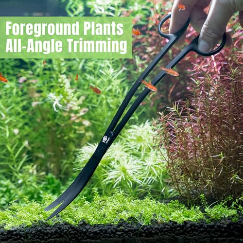 LINLAN 9.8-inch Wave Curve Aquascaping Scissors, Full Chamfer Smooth Design, Polished Mirror, Professional Dutch Style Aquascape Shears, for Layered Forming & Trimming Plants at Any Angle - size: Mirror Silver
